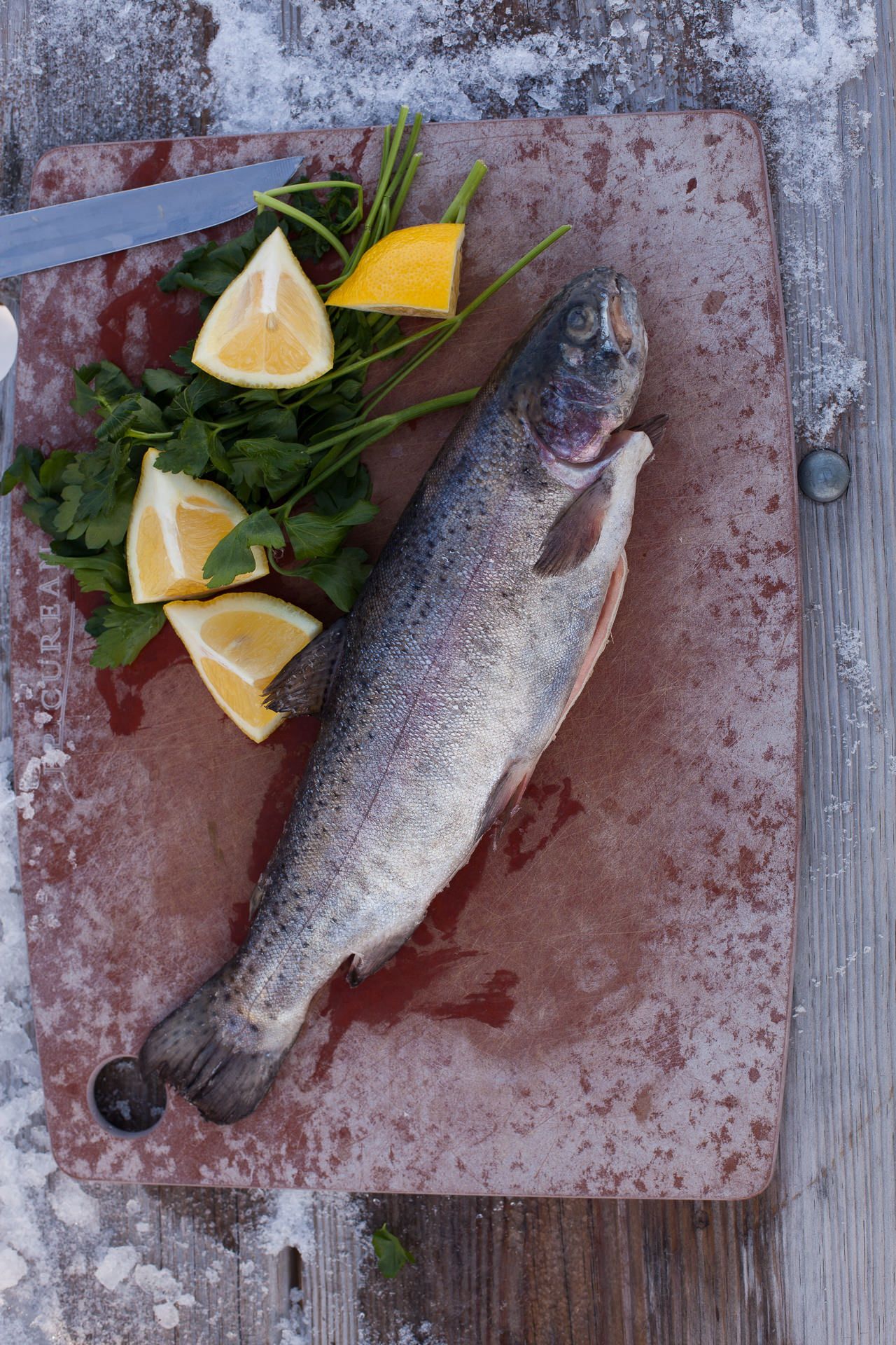 Lake Simcoe Fish Fry