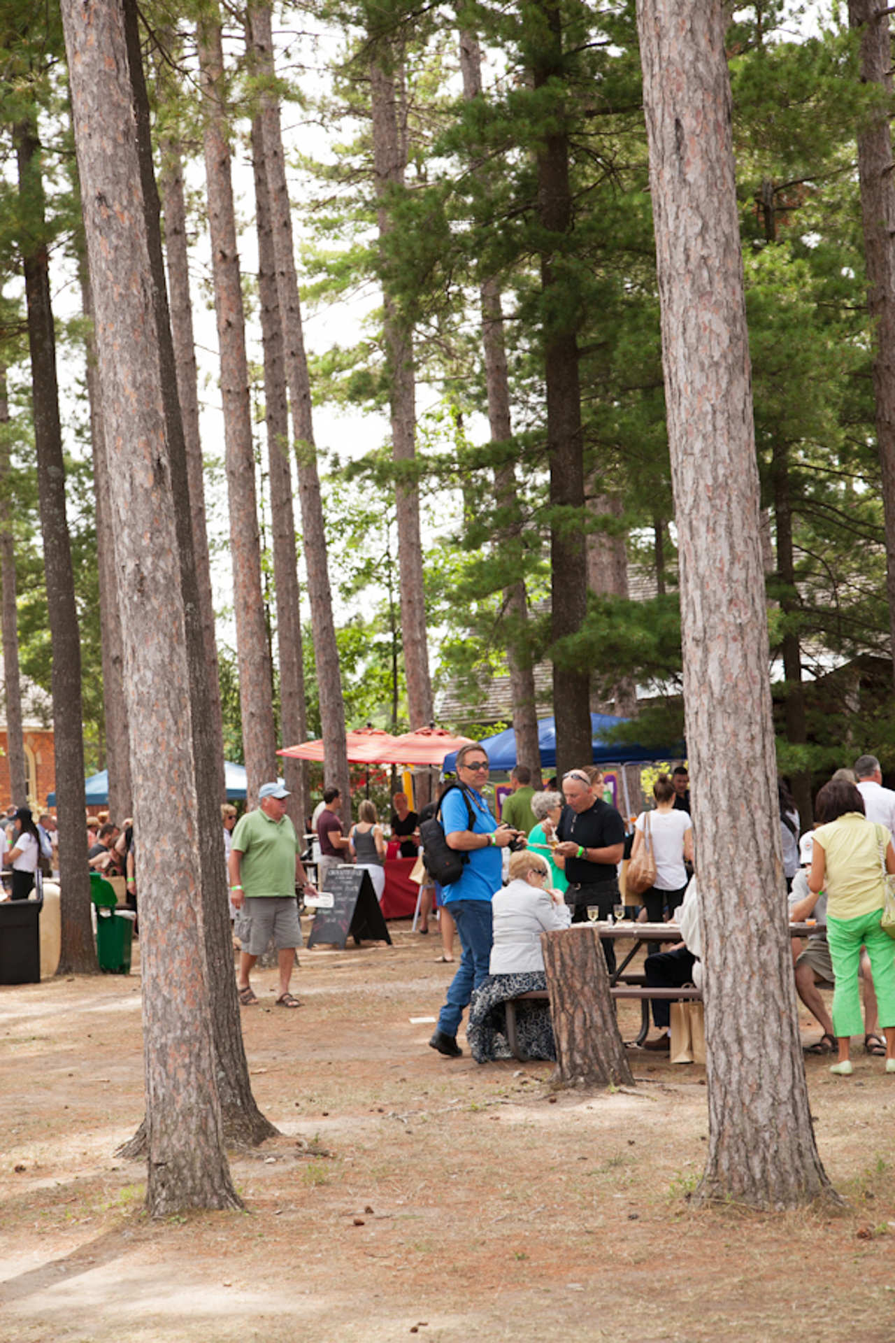 Savour Simcoe local food/drink agri-culinary event